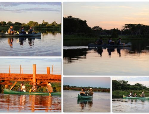 Pantanal – Pousada Caiman