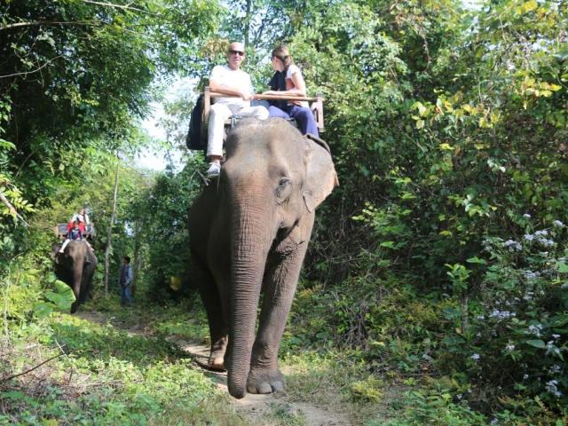 Luang Prabang - elephant camp