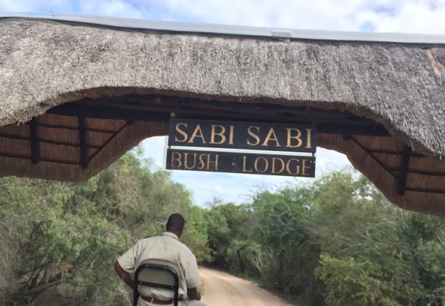 África do Sul Sabi Sabi