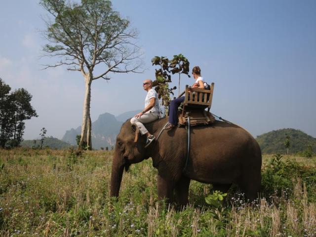 Luang Prabang - elephant camp