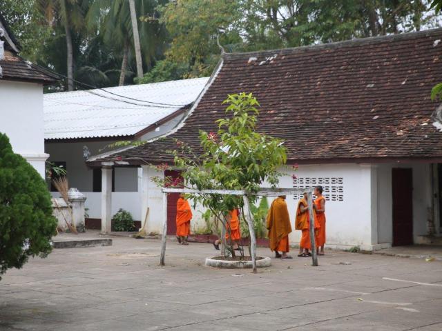 Luang Prabang - templos